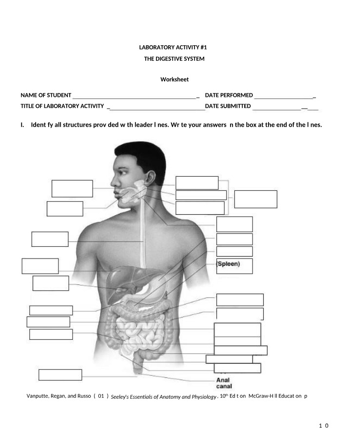 Digestive System Laboratory Activity Worksheet