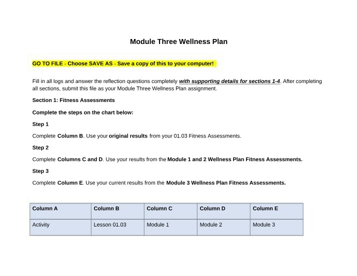 Wellness Plan for Module Three