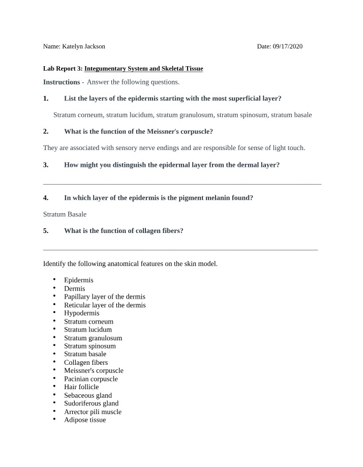 Lab Report - Integumentary System and Skeletal Tissue