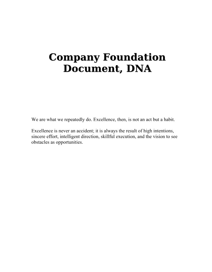Values, Vision, and Culture - Company Foundation