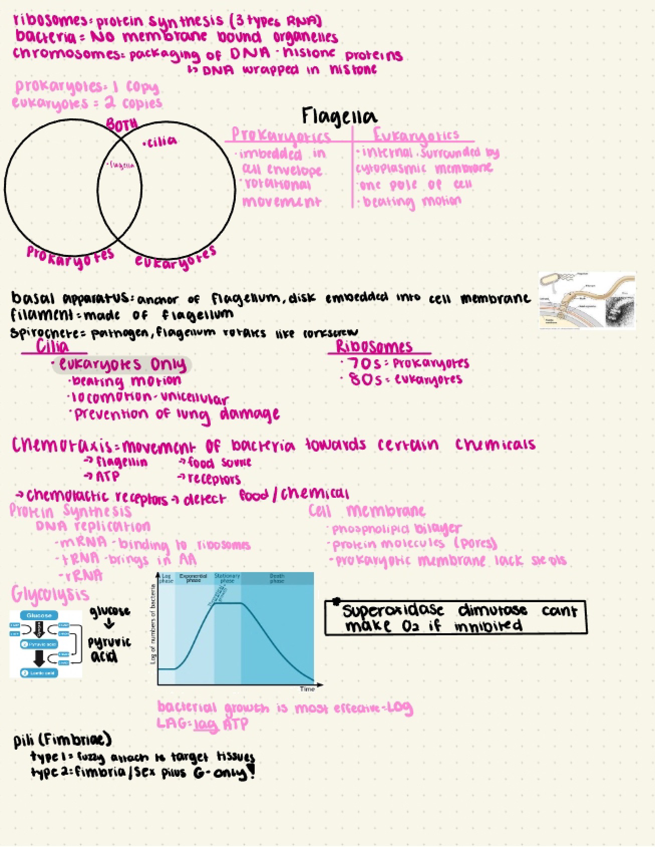 Examination One