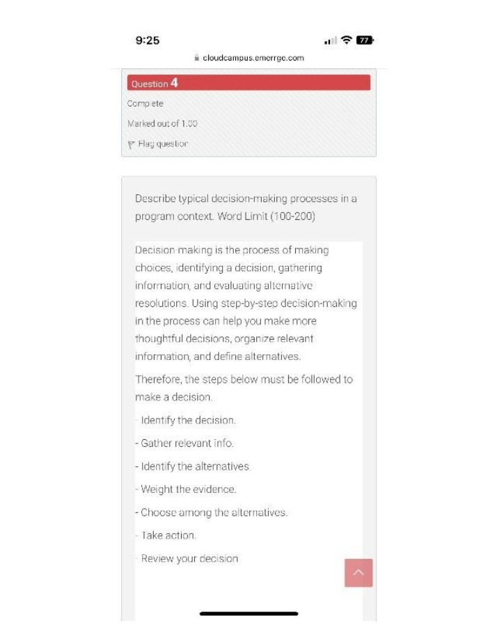 Decision-Making Processes in a Program Context