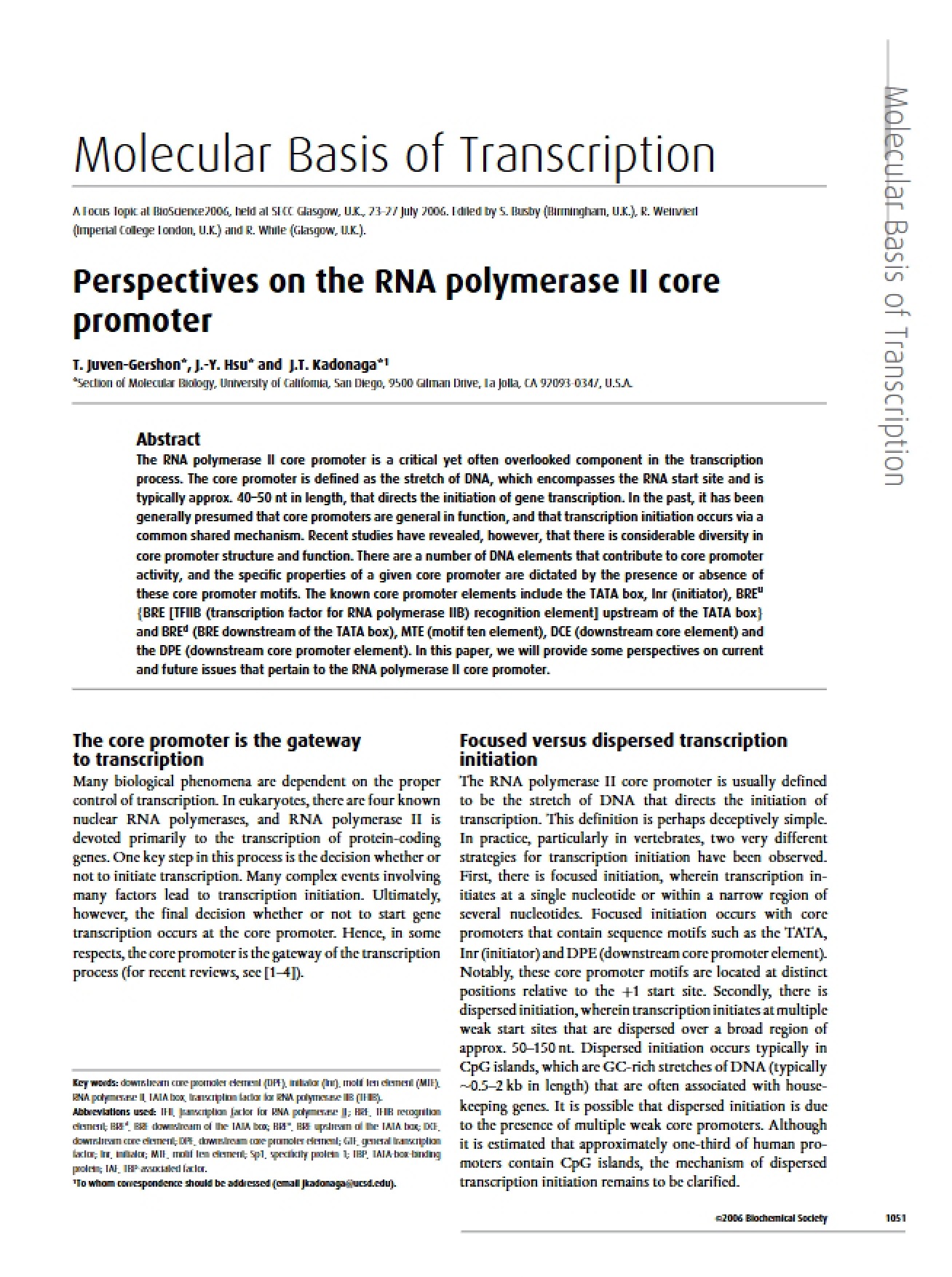 Perspective on the RNA Polymerase II Core Promoter