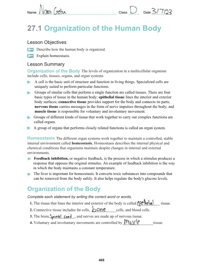 Human Body Organization - Tissues, Organs, Levels, and Exercises
