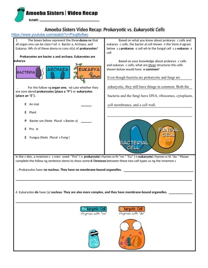 Recap Video - Prokaryotic vs. Eukaryotic Cells