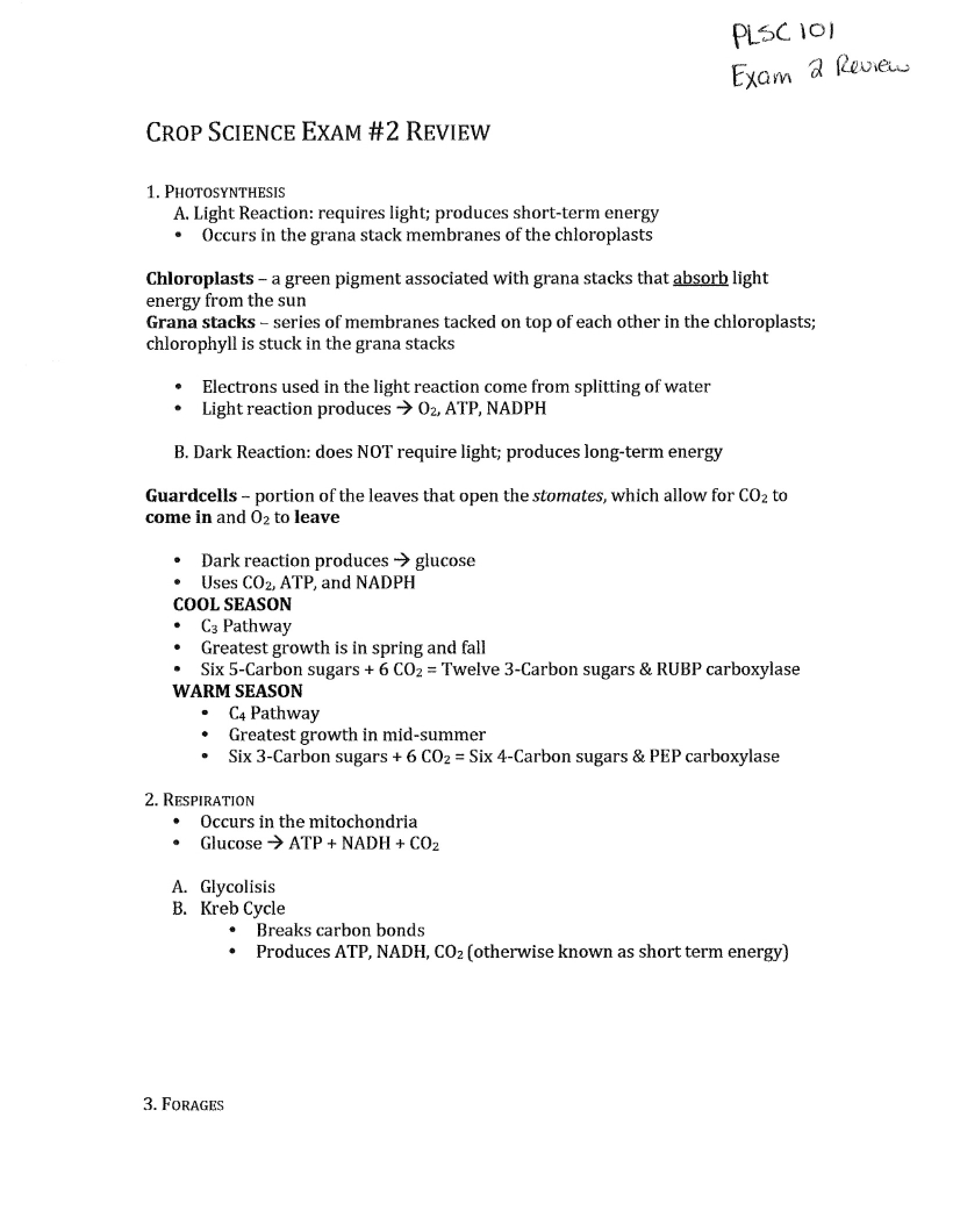 Second Exam