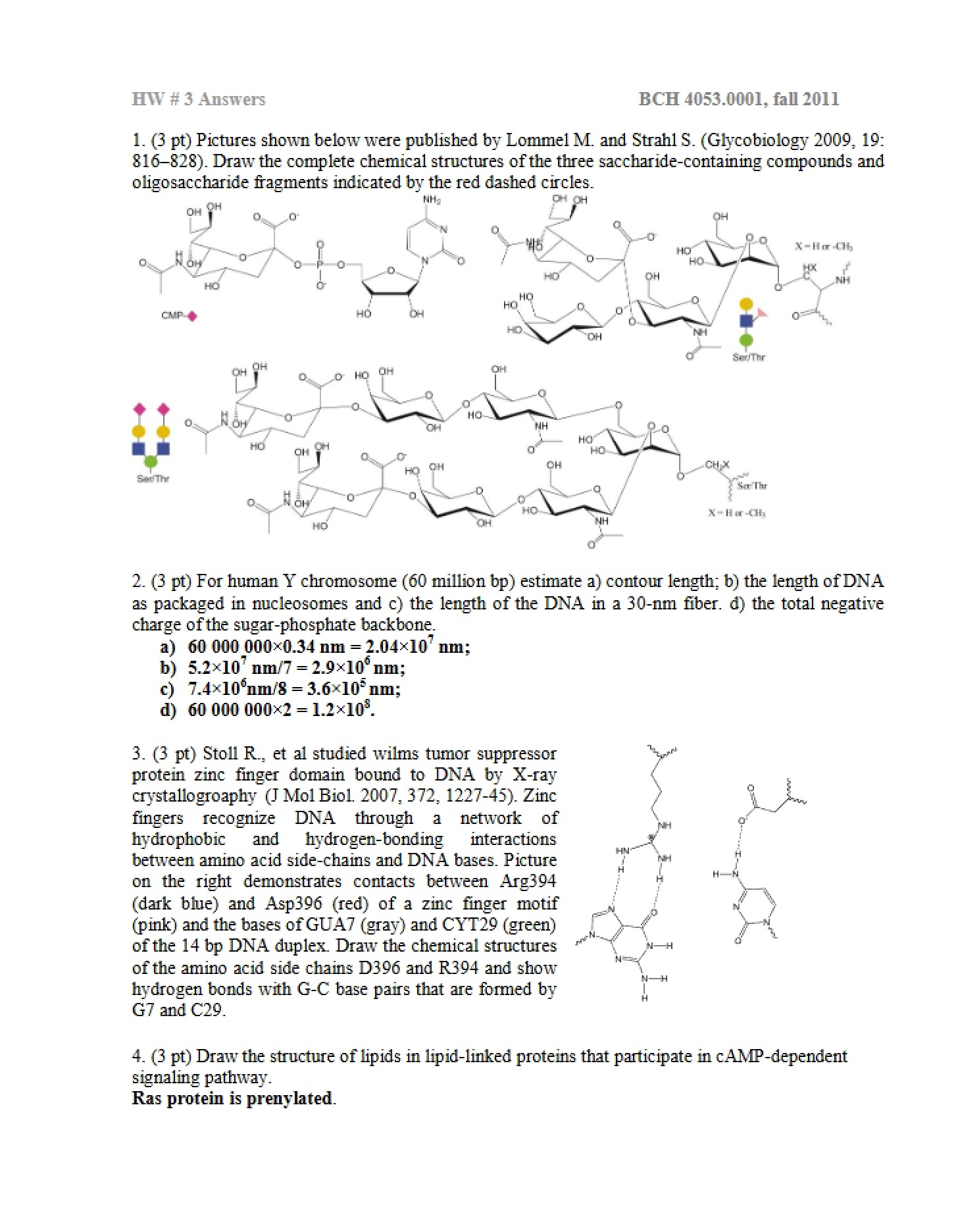 Third Homework