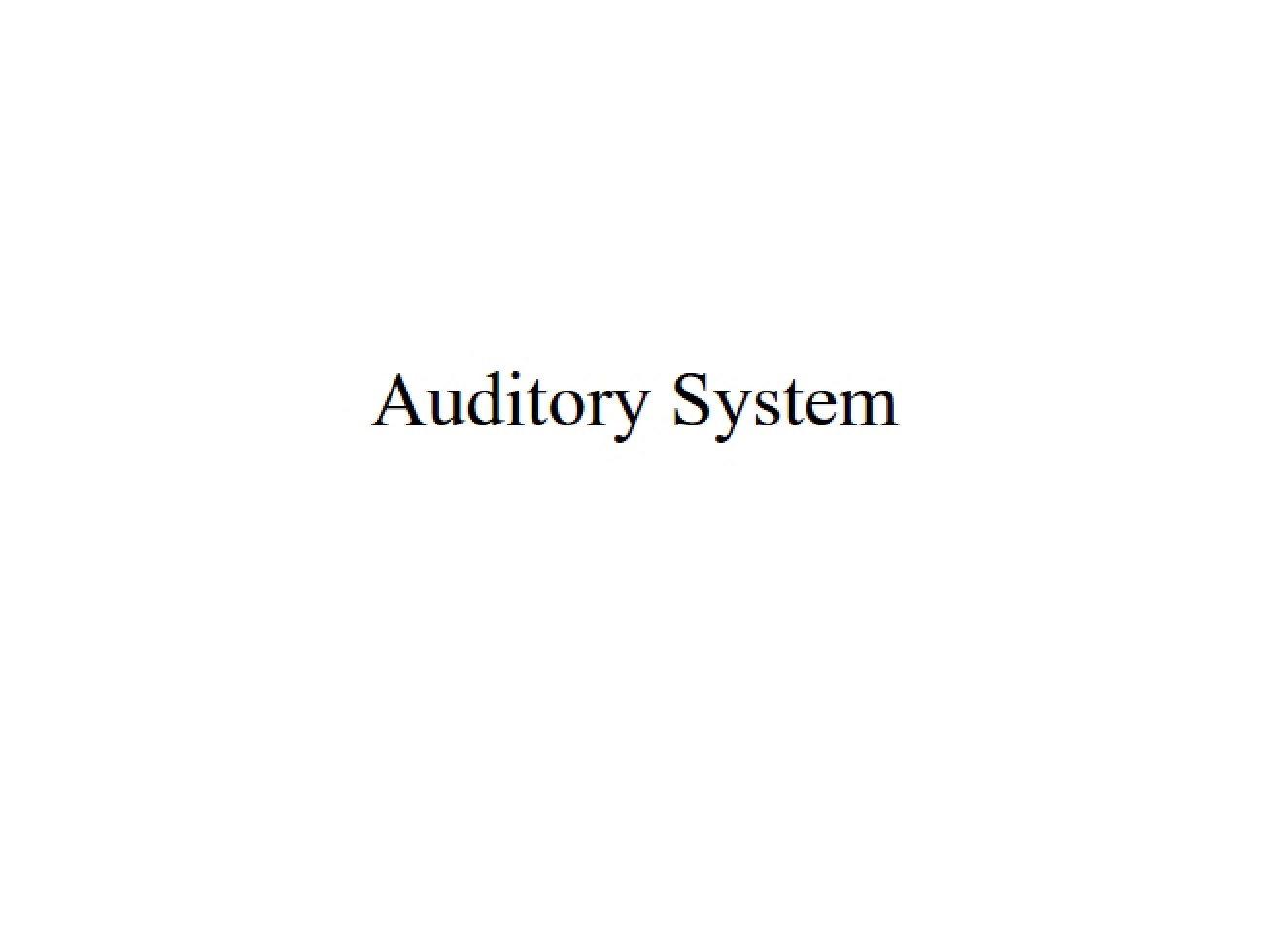 Lecture 13 Auditory System