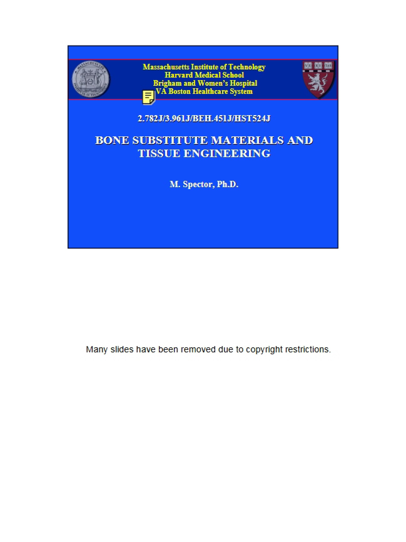 Tissue Engineering and Bone Substitutes