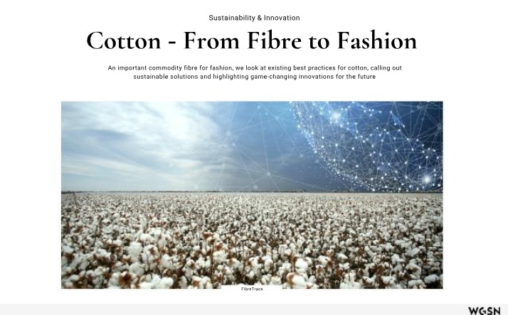 Sustainable Cotton Practices - Innovations in Fashion