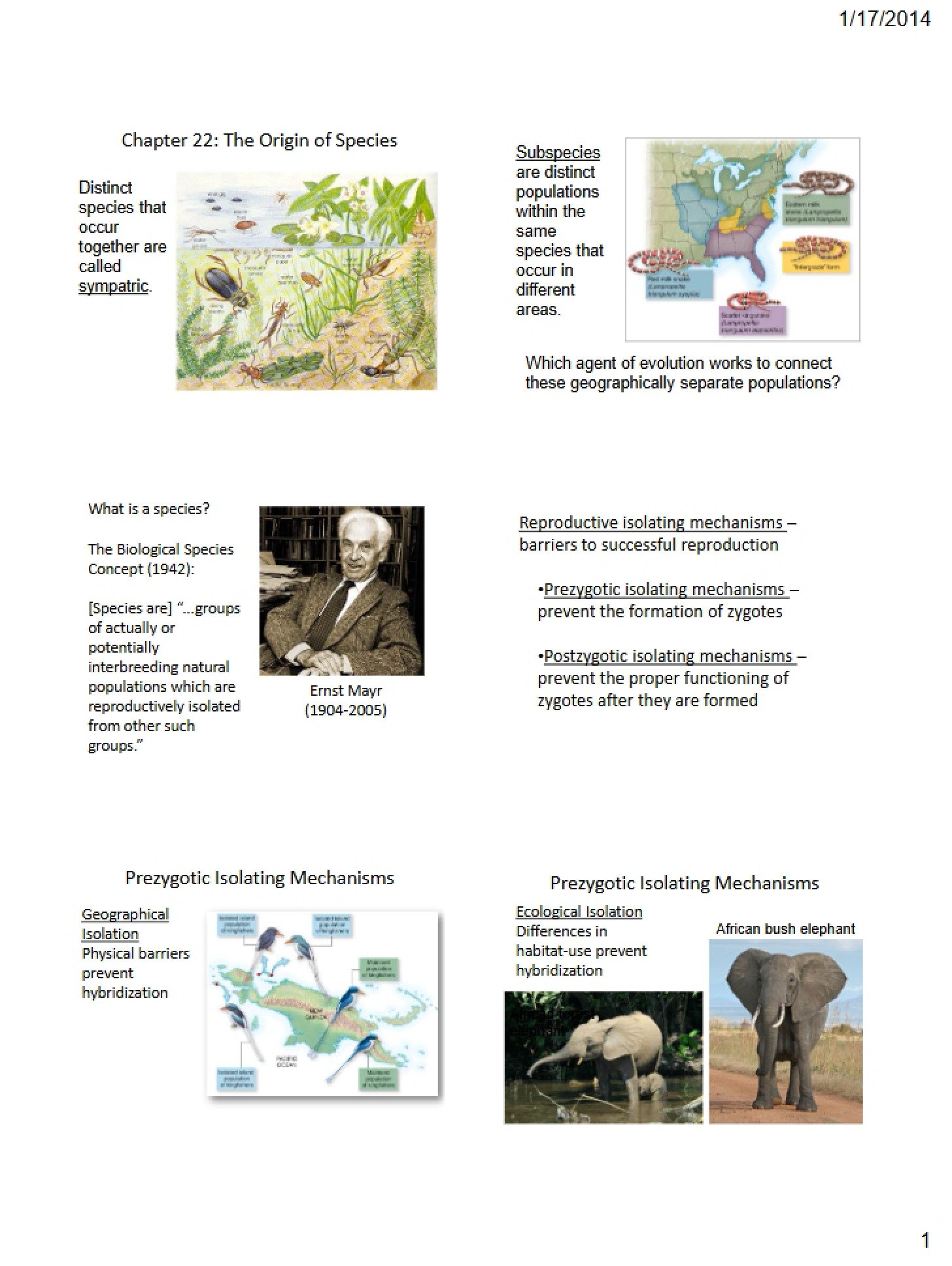 Species Origin (Chapter 22)