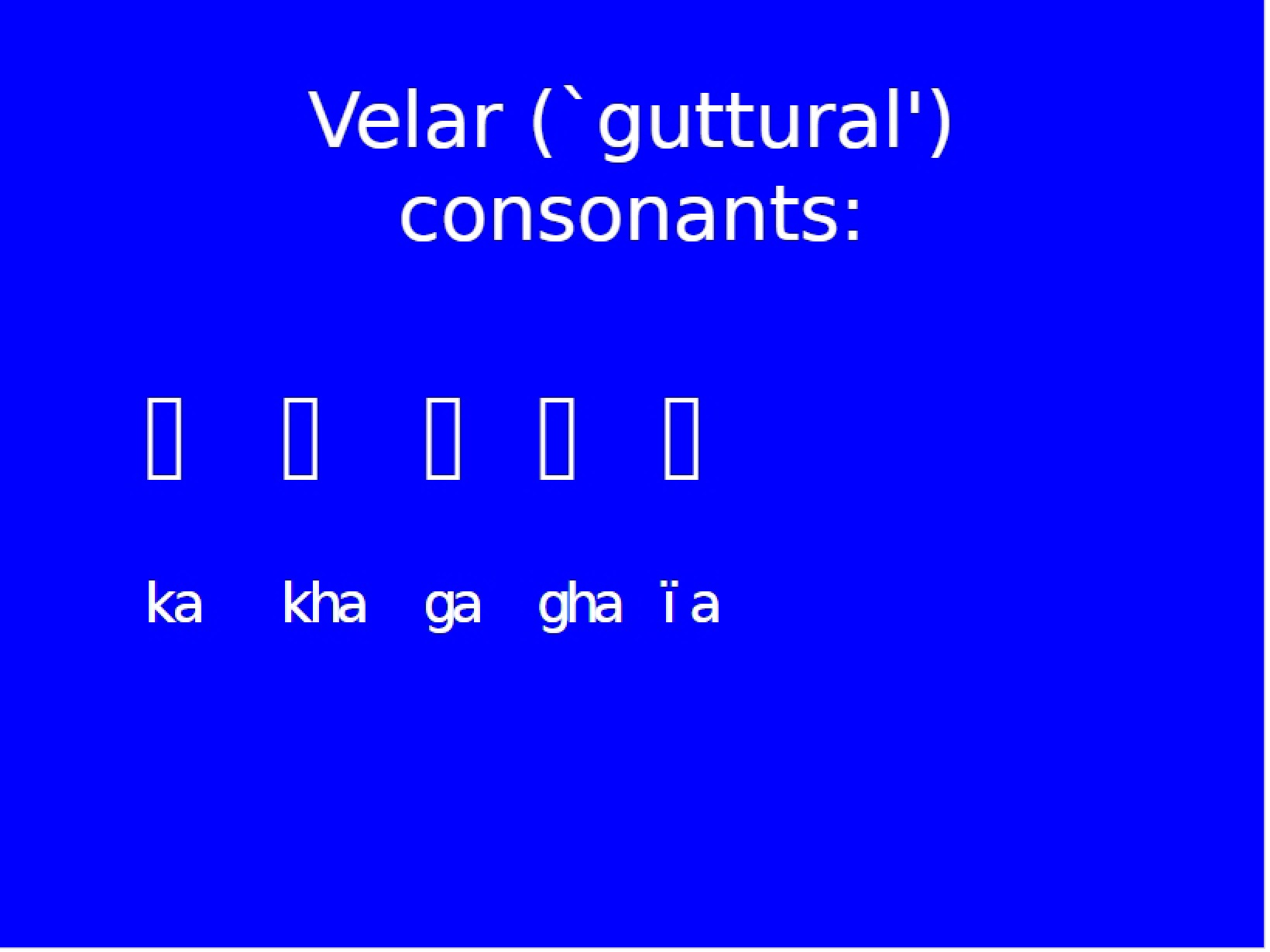 Velar Consonants