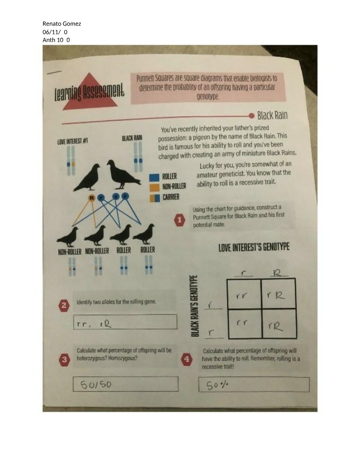 Worksheet on Genetics, Punnett Squares and Cultural Diversity
