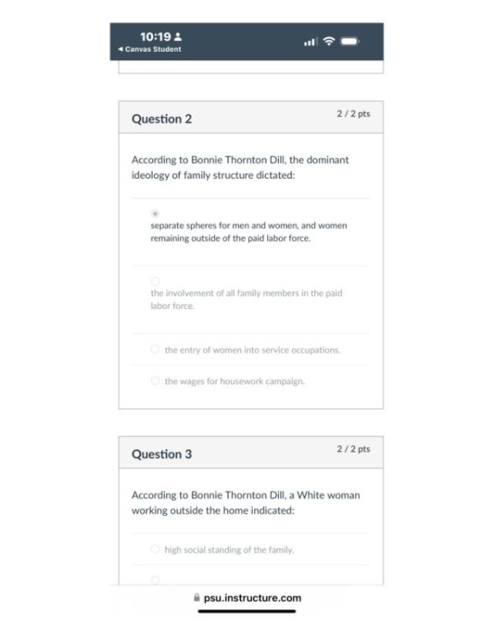 WMNST105N - Exam Questions