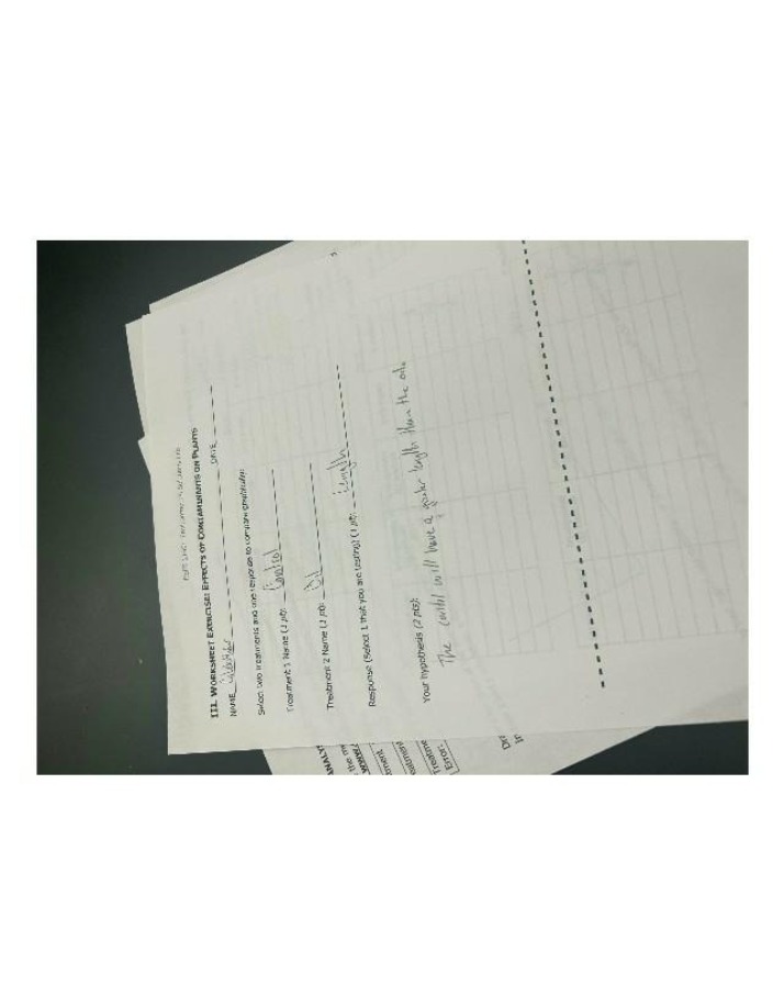 Worksheet - Effects of Contaminants on Plants