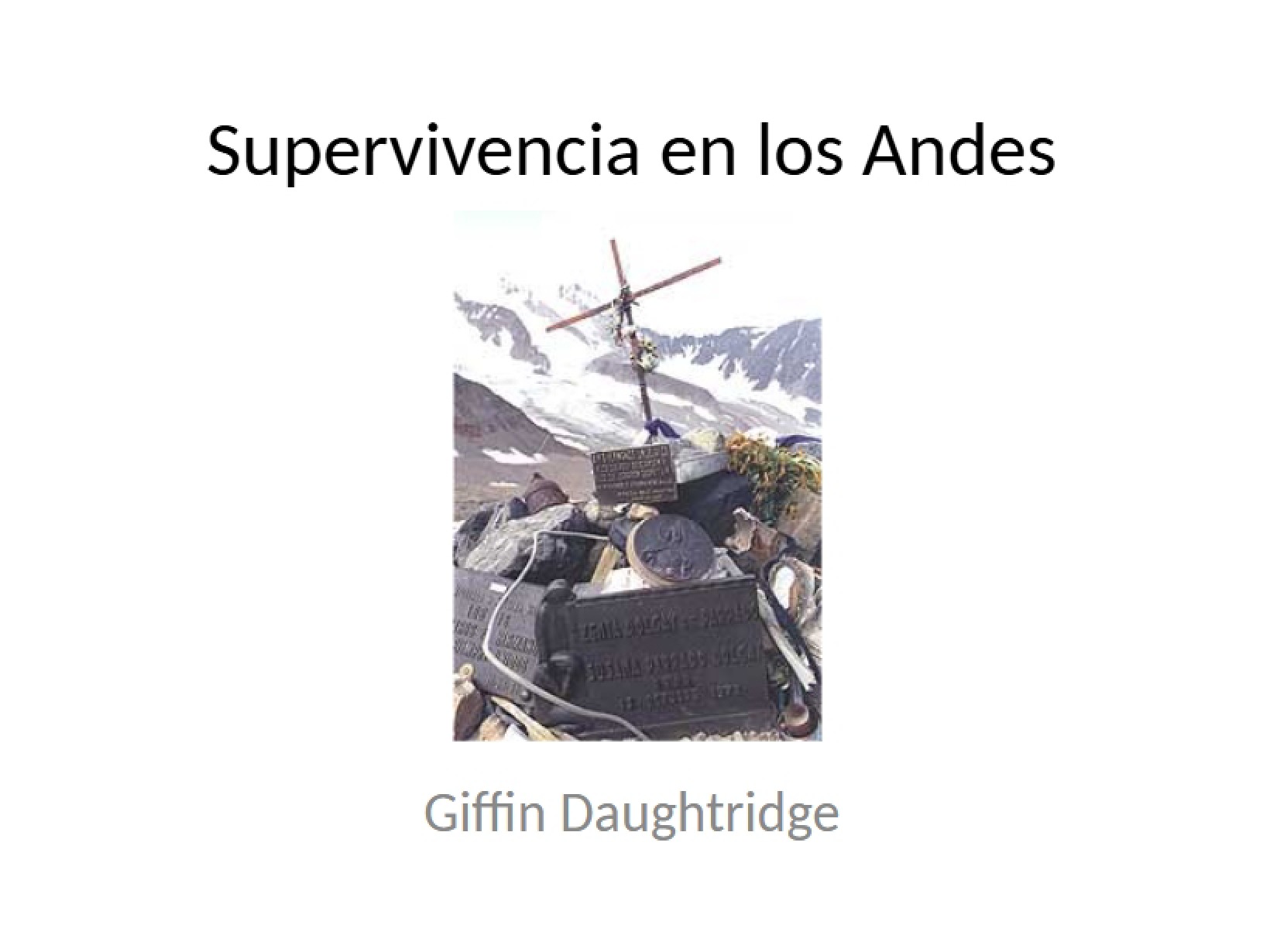 Andes Survival (Supervivencia)