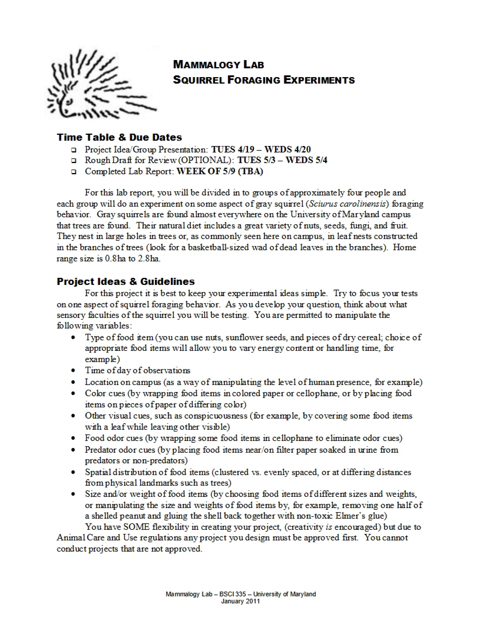 Behavioral Analysis of Squirrel Foraging