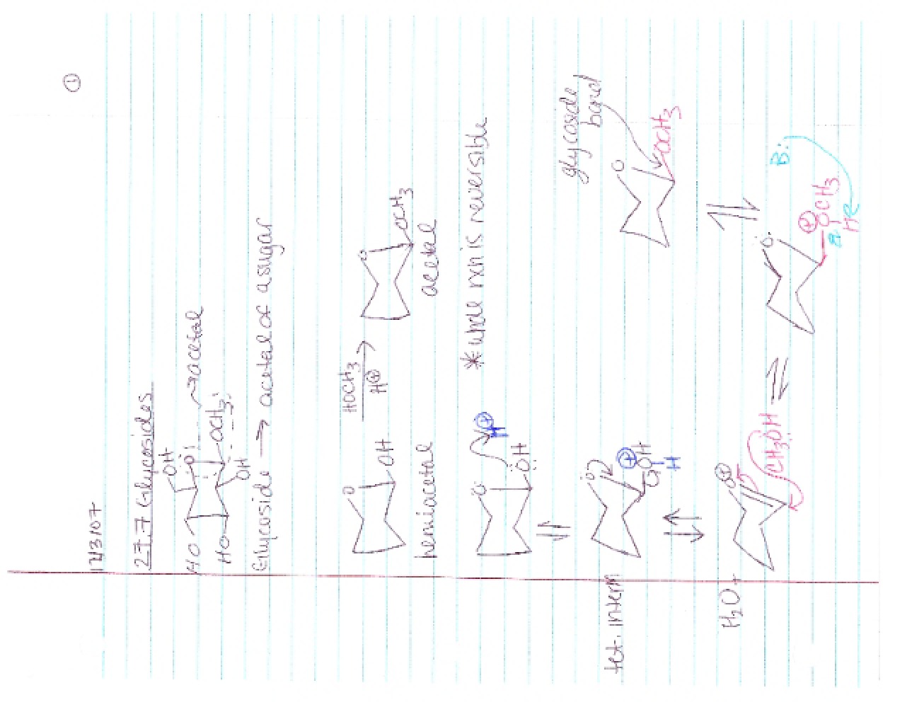 Lecture Record Notes