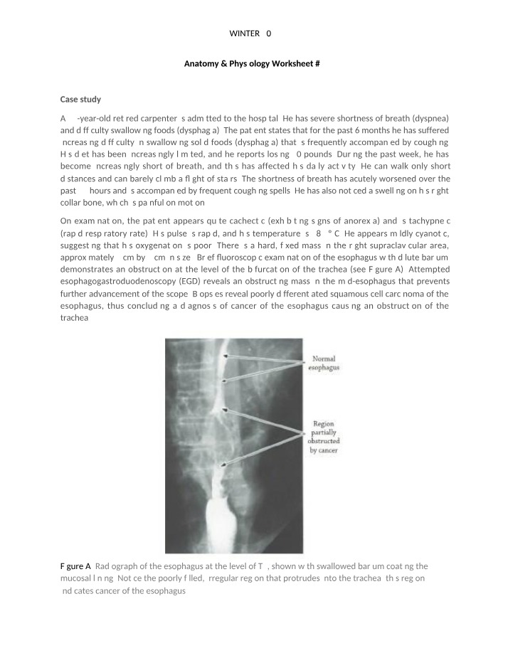 Worksheet 2 - Anatomy & Physiology