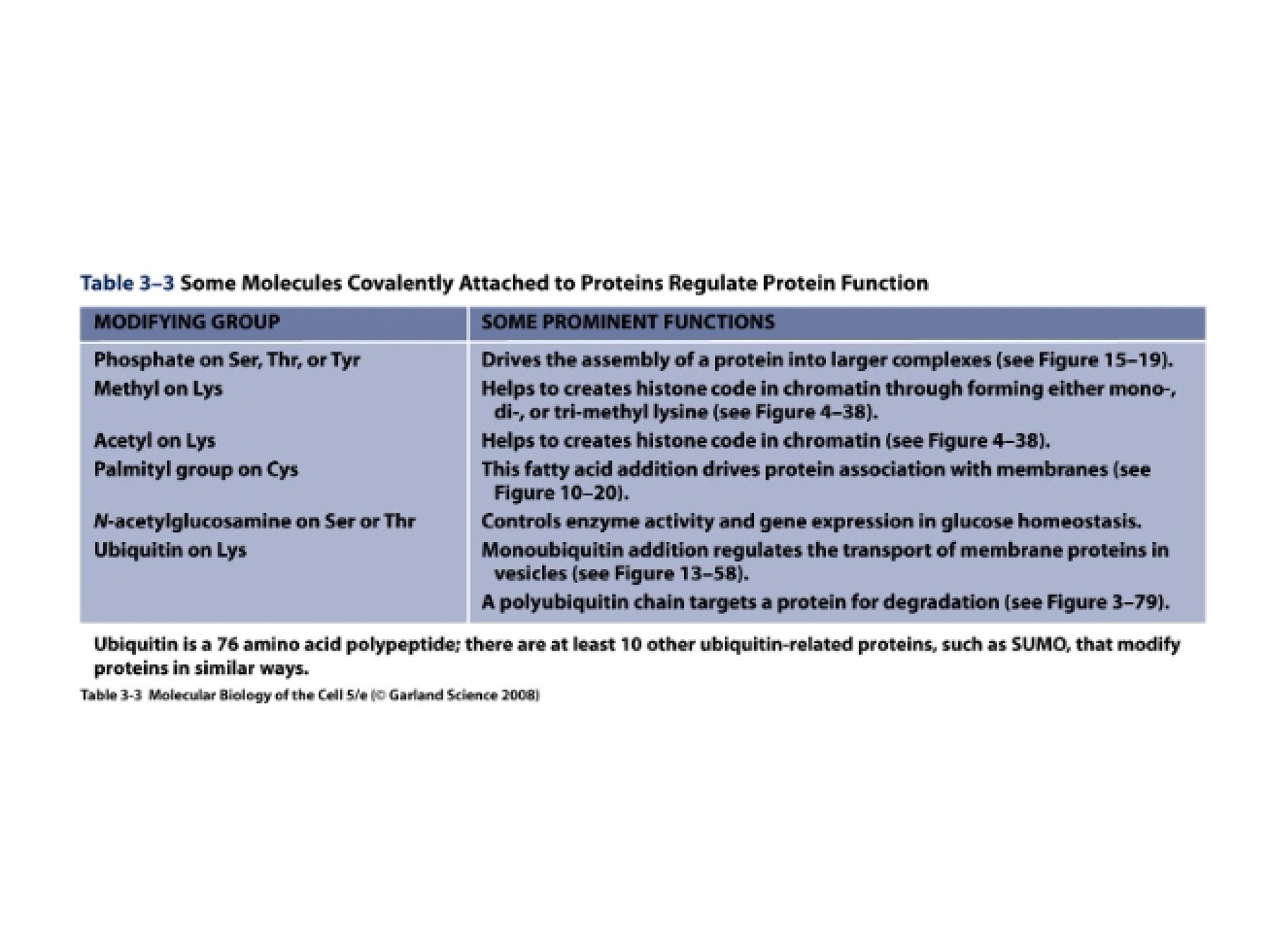 Chapter 4 Genomes, Chromosomes, and DNA