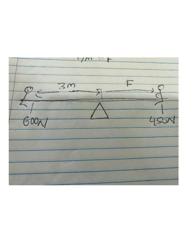 Lever Equilibrium Analysis for Physics
