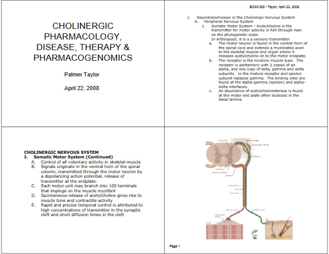 Pharmacology of Cholinergic Systems