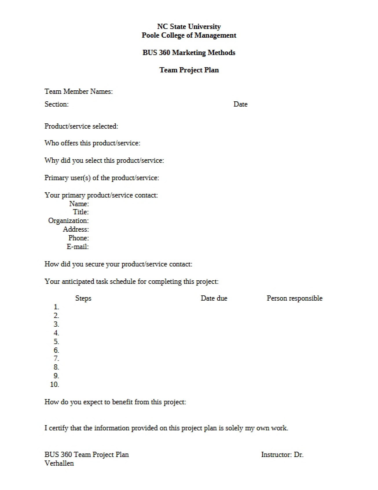 Project Plan for Marketing Team