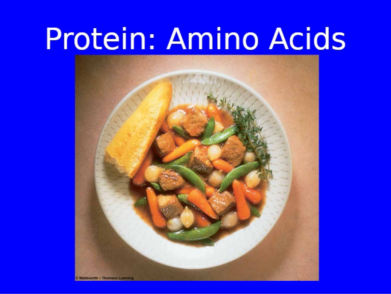 Amino Acids and Protein