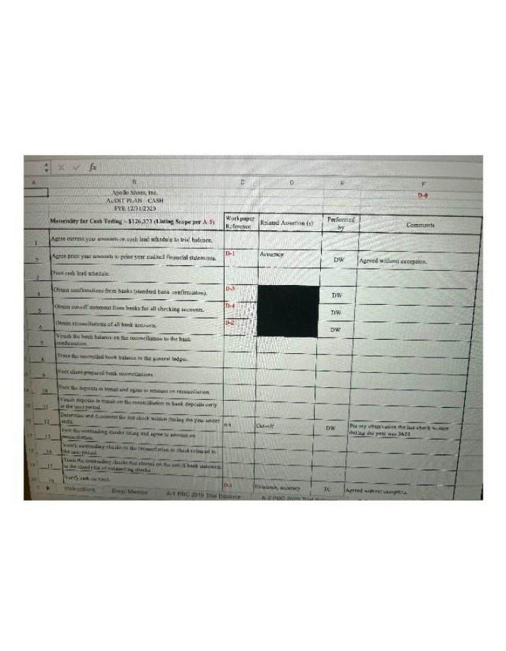 Apollo Shoes Inc. Cash Audit Plan - FYE 12-31-2020
