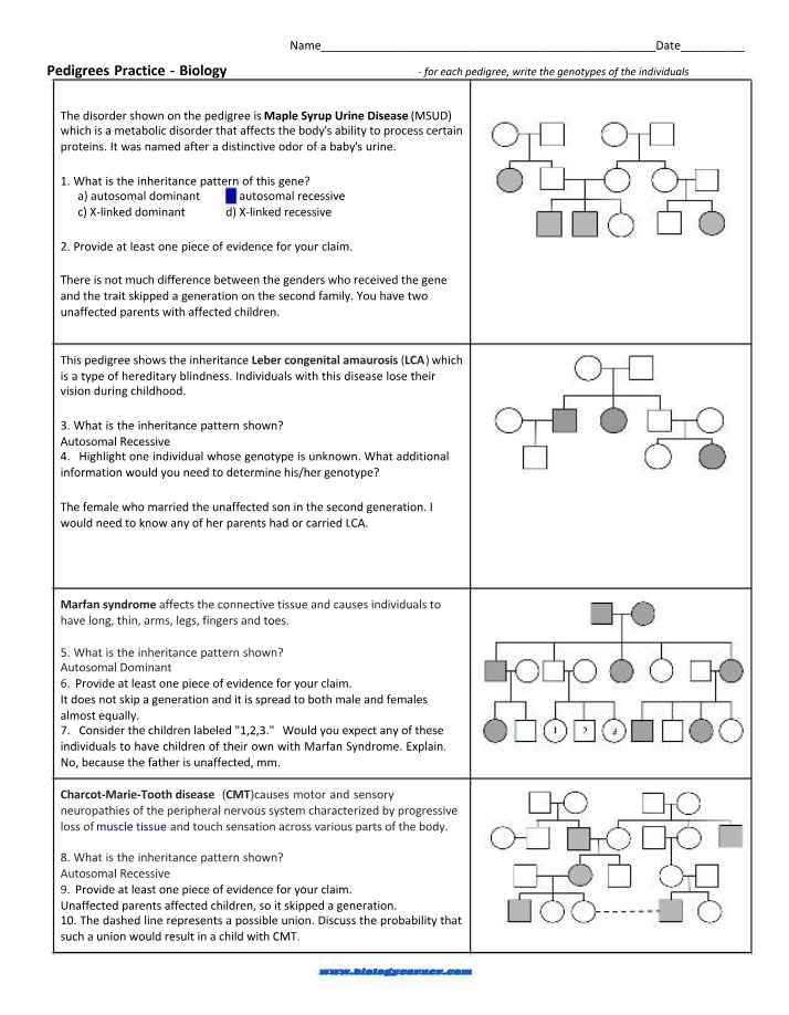 Inheritance Patterns for MSUD, LCA, and Marfan Genetic Disorders