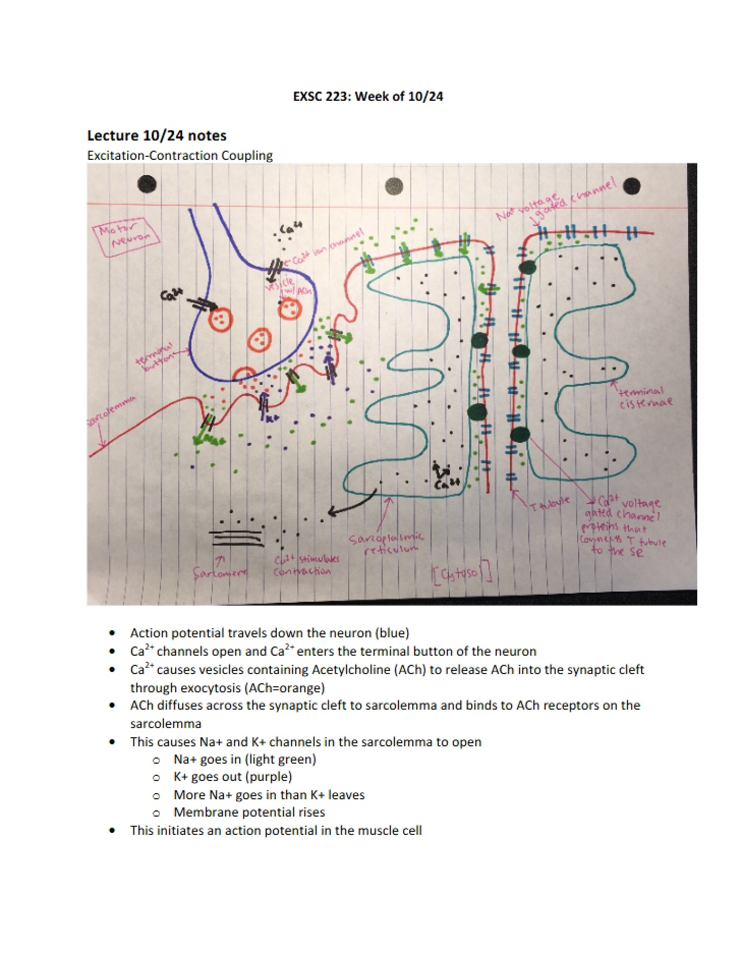 Notes October 24th