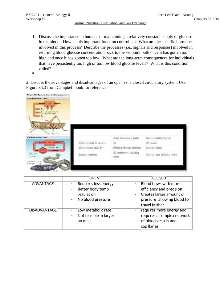 Workshop 7 - Animal Nutrition, Circulation, and Gas Exchange