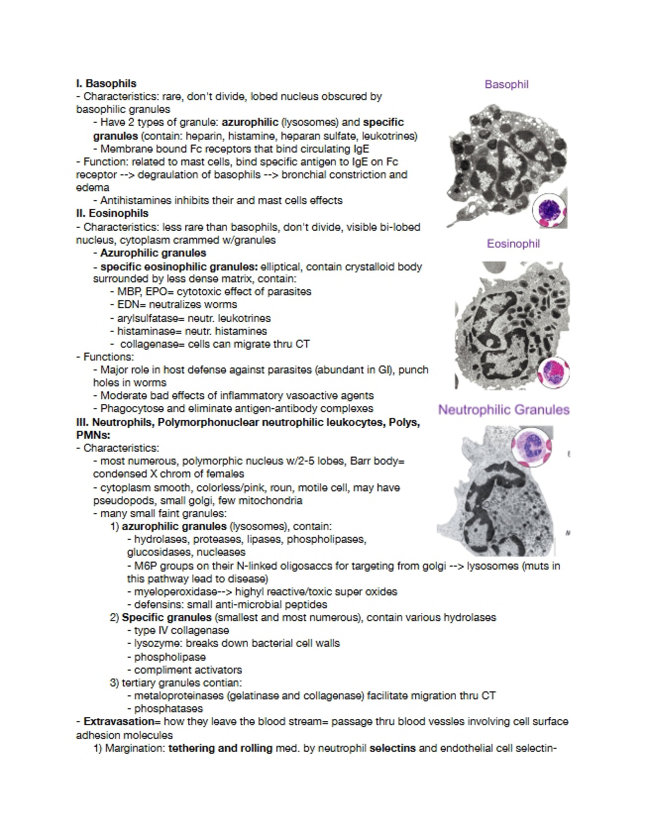 Blood II Lecture Review