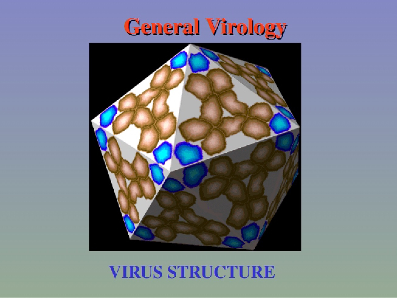 Overview of General Virology