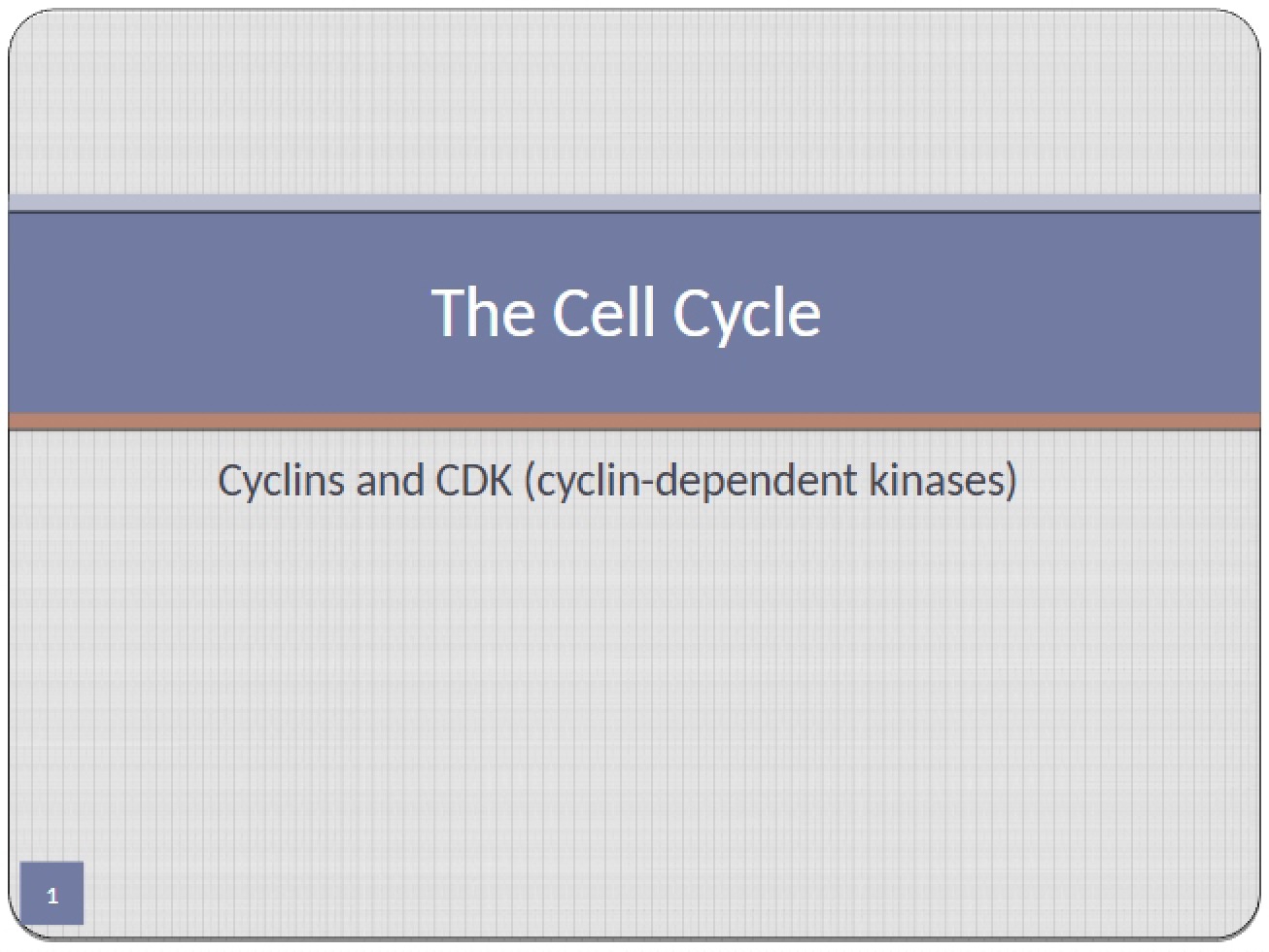 Cell Cycle