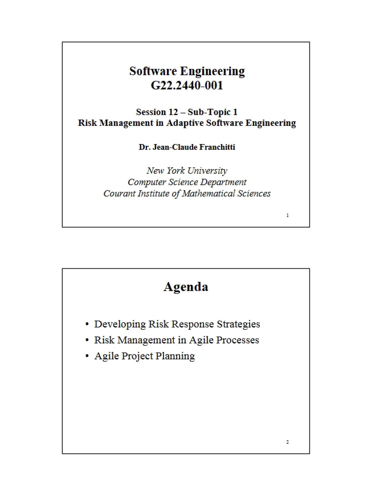 Adaptive Software Engineering Risk Management
