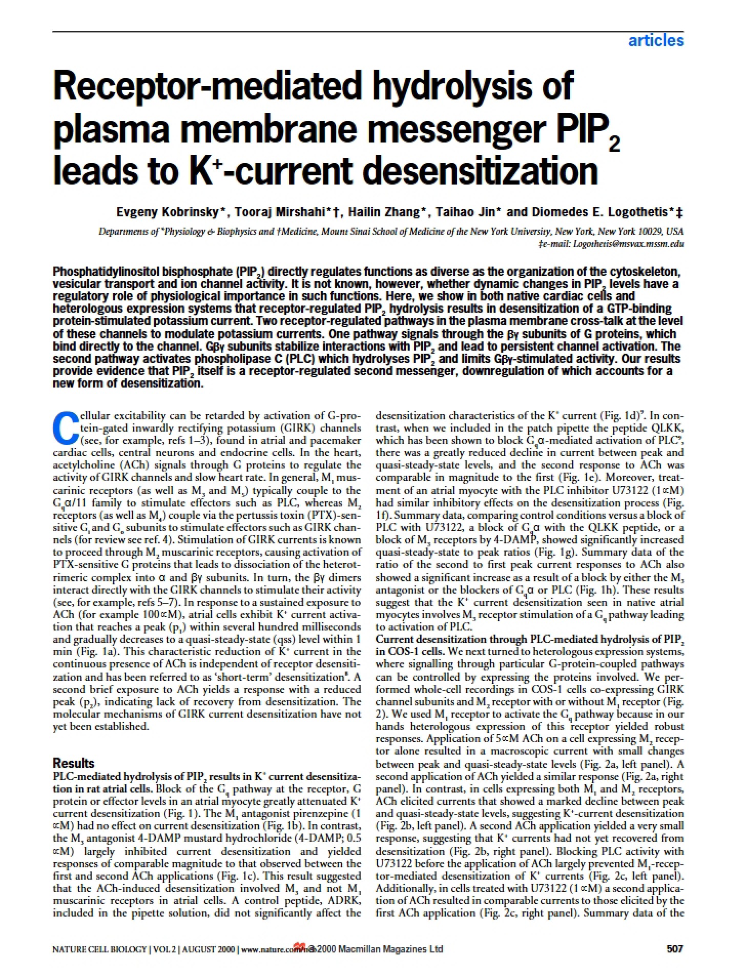 K+-Current Desensitization via Receptor-Mediated PIP2 Hydrolysis