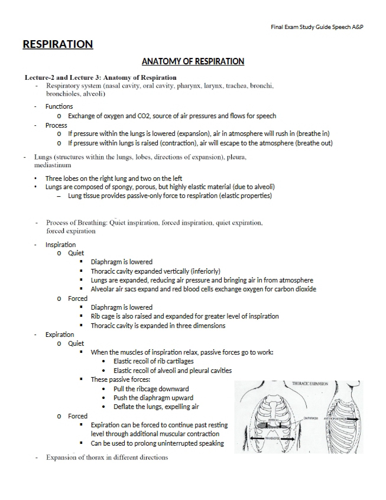 Study Guide for Anatomy Exam 2
