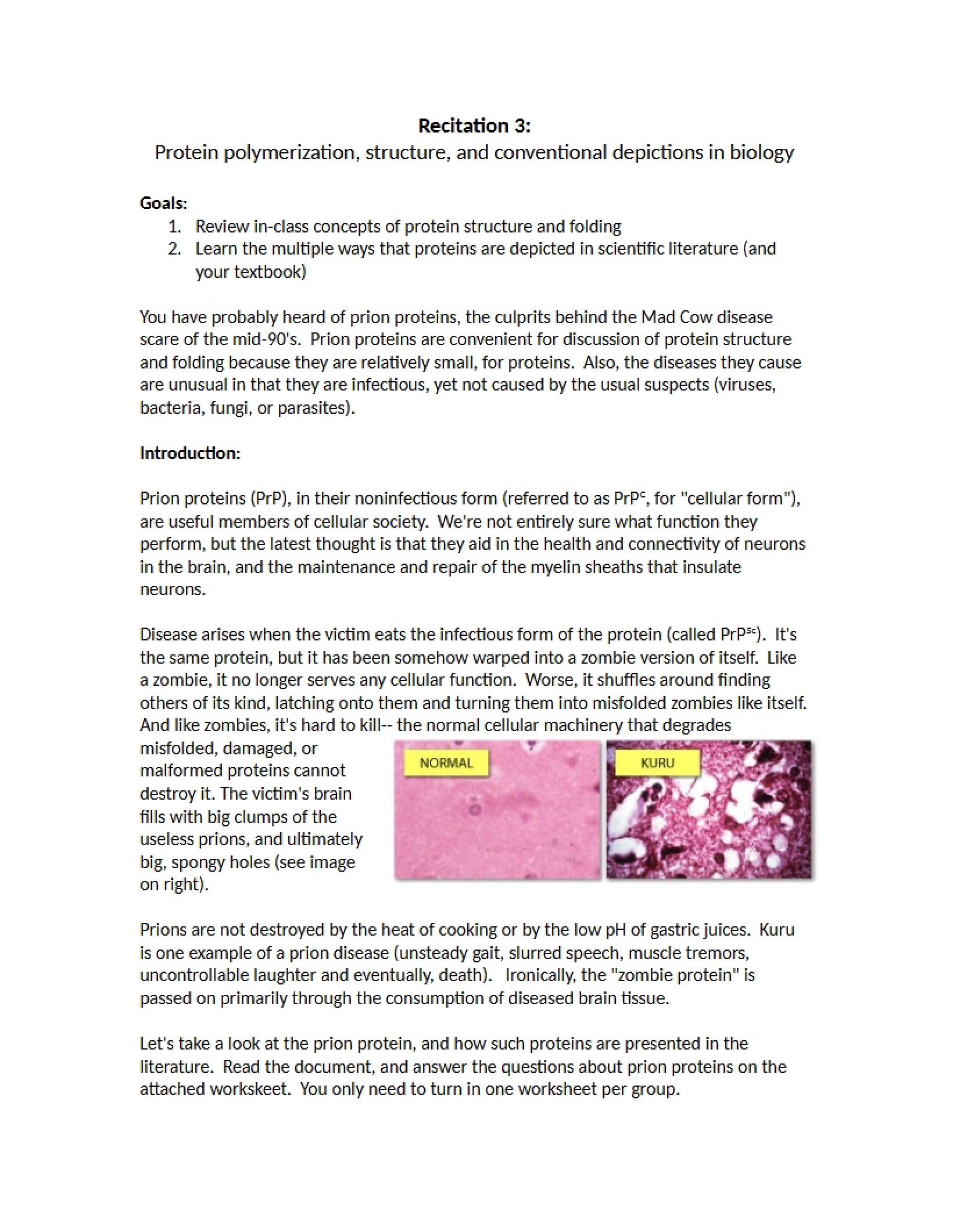 Prion Handout (Recitation 3)