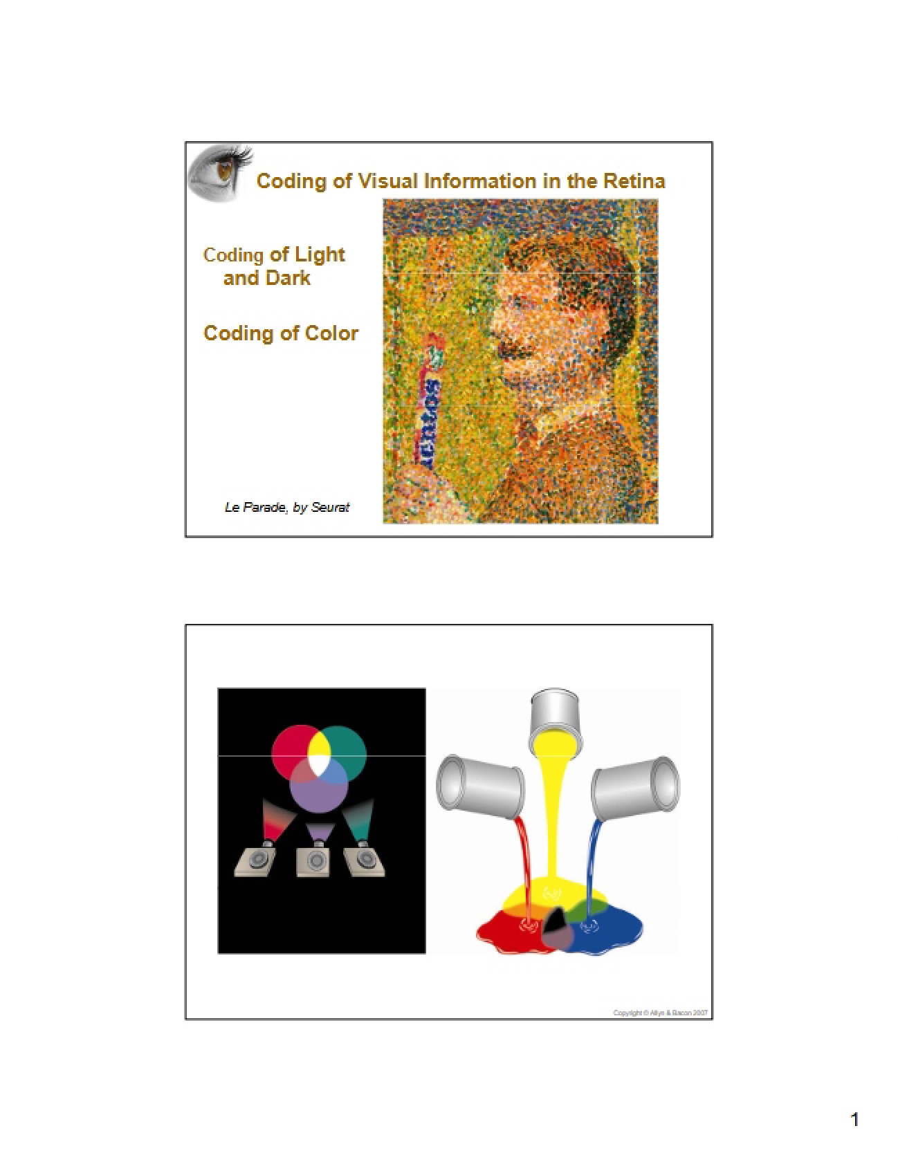 Neural Representation of Color Data