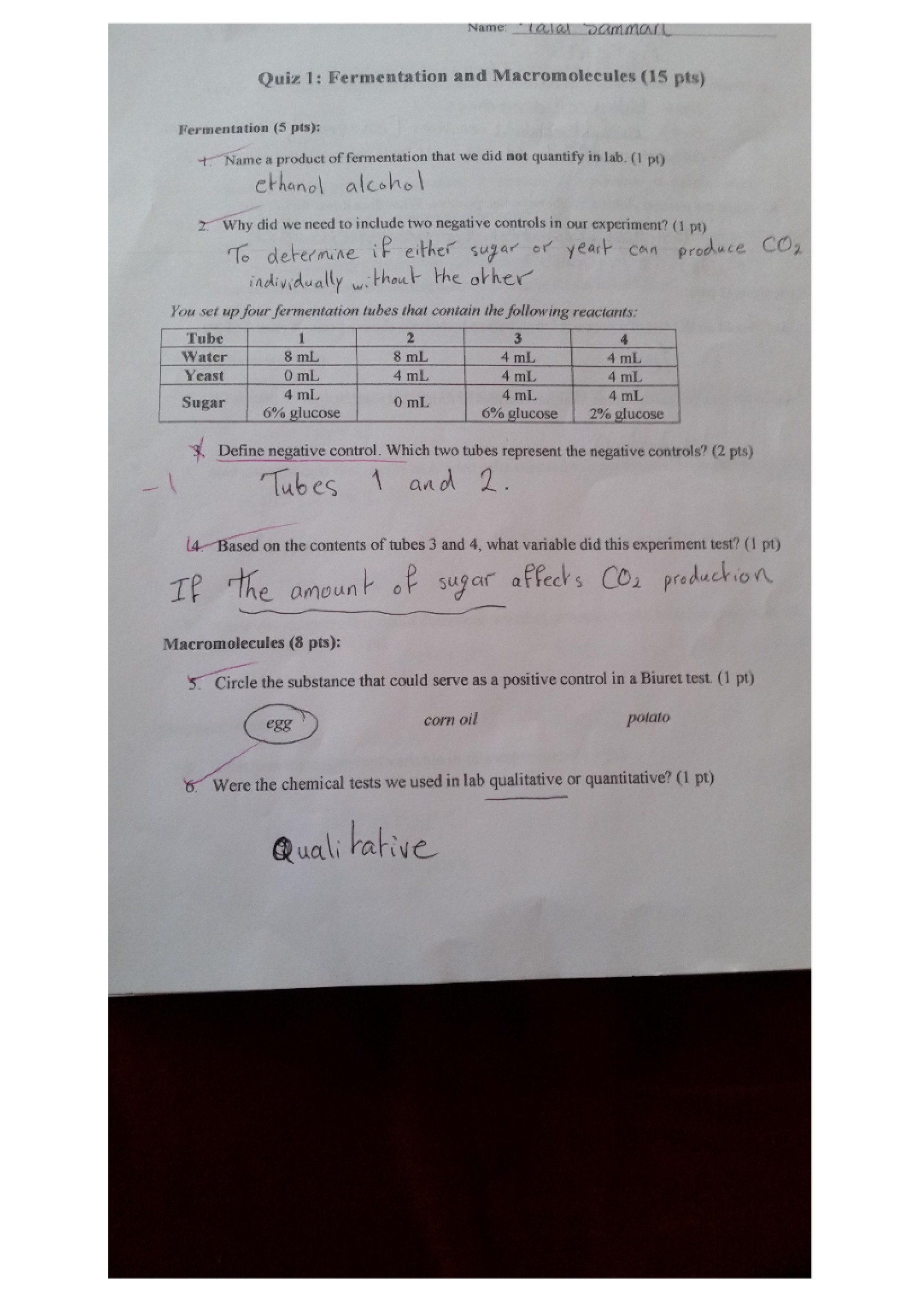 First Quiz