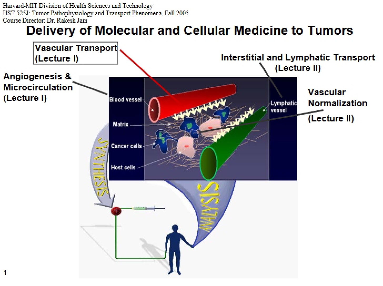 Tumor Targeting Molecular and Cellular Medicine - 55 Pages