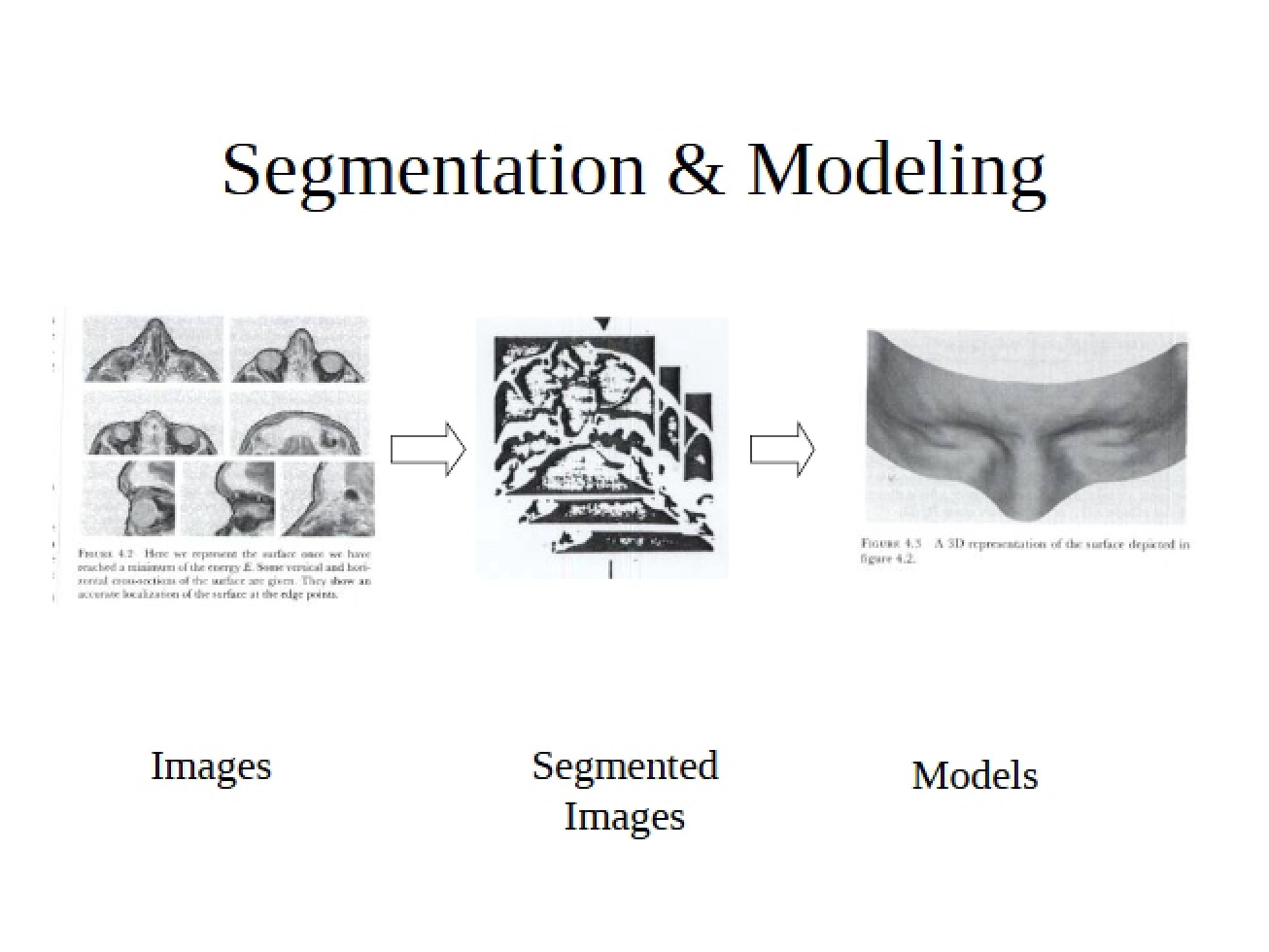 Modeling and Segmentation