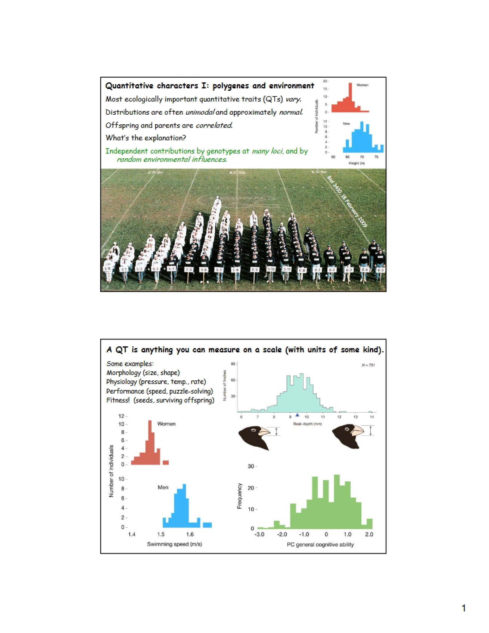 Polygenic Traits and Environment