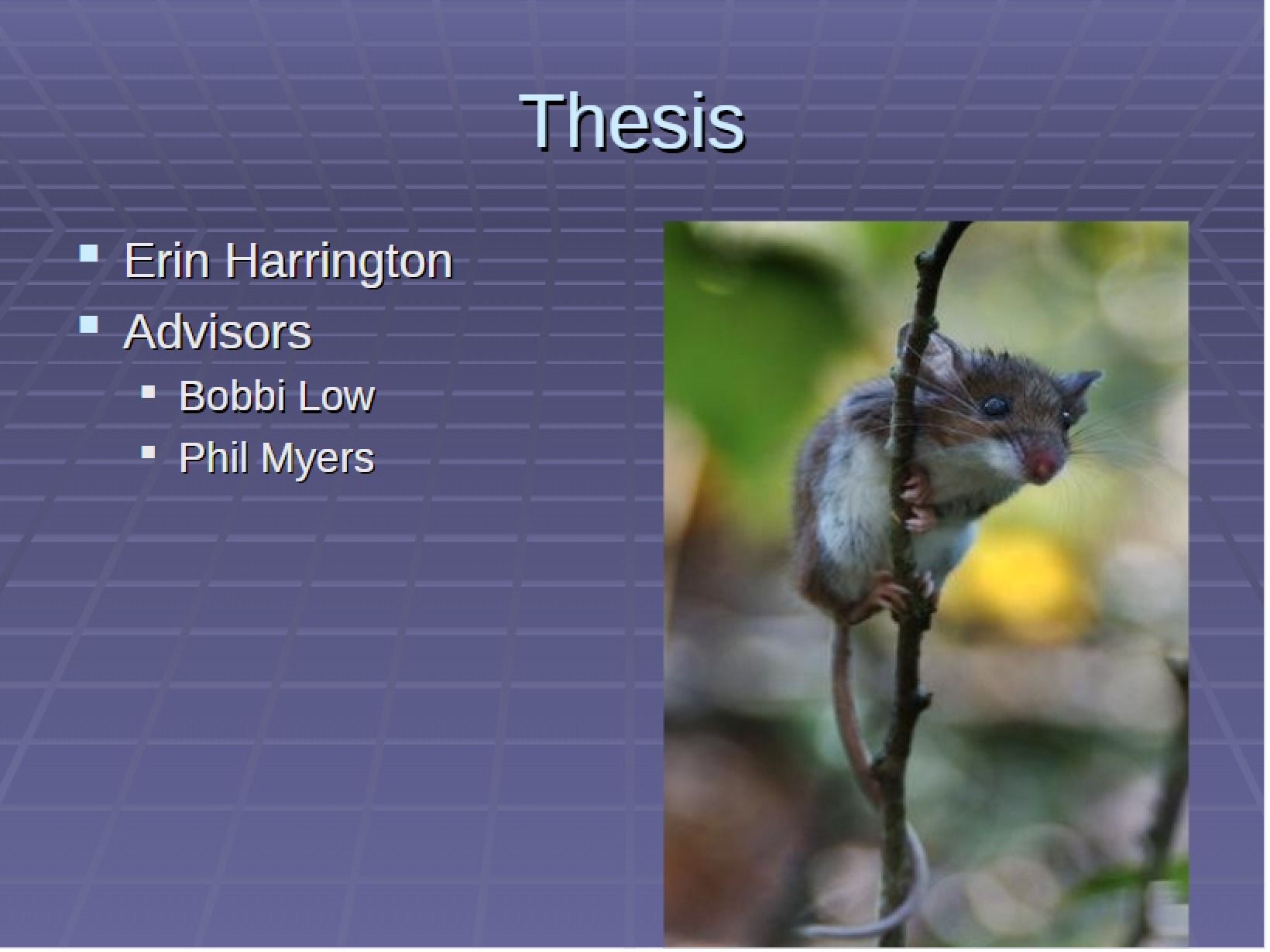Project Thesis