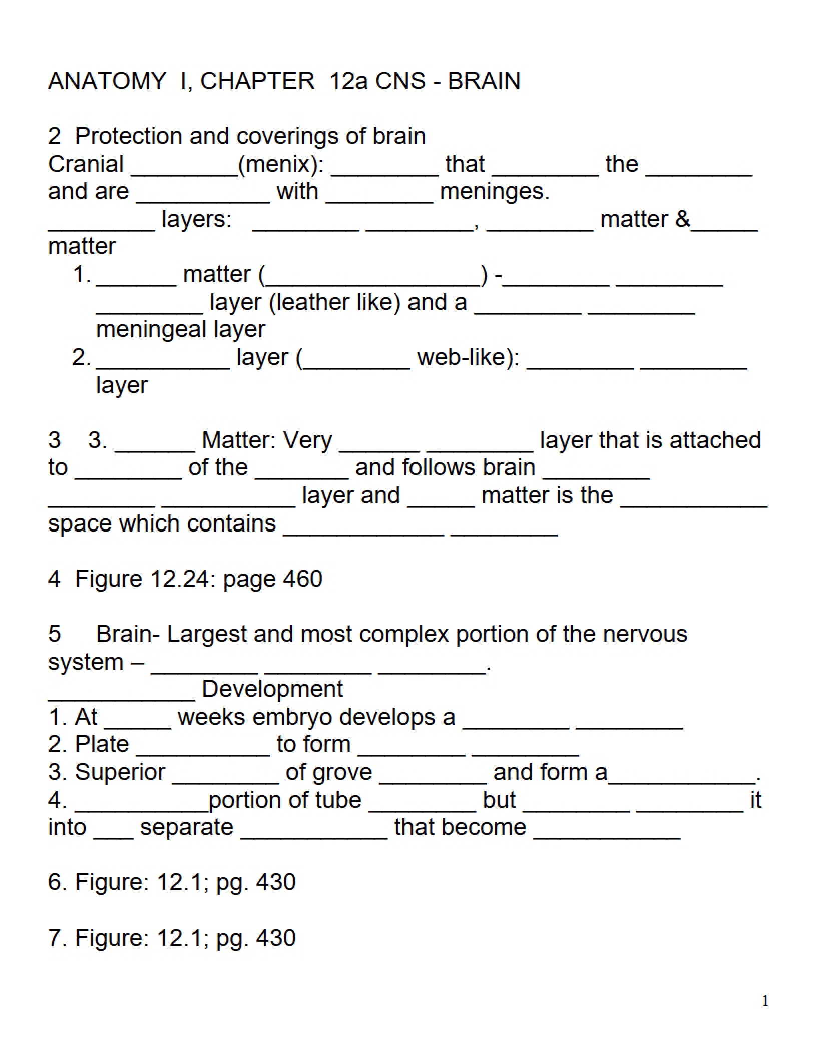 Human Anatomy Study Guide 3