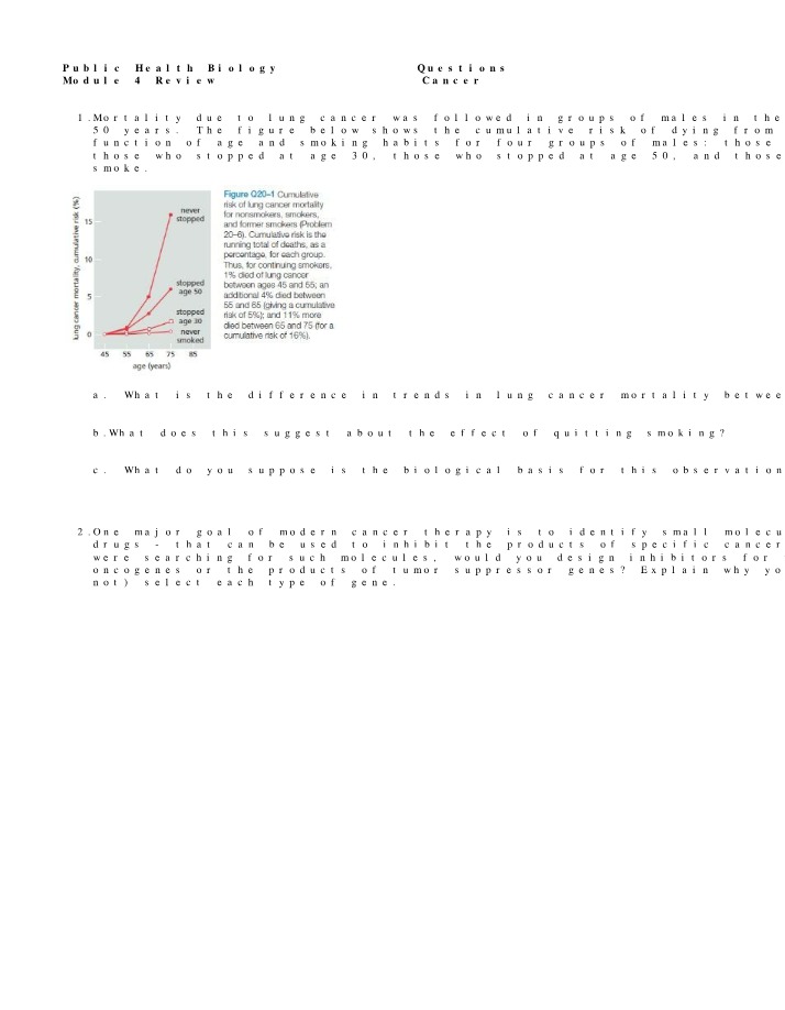 Impact of Smoking on Lung Cancer Mortality