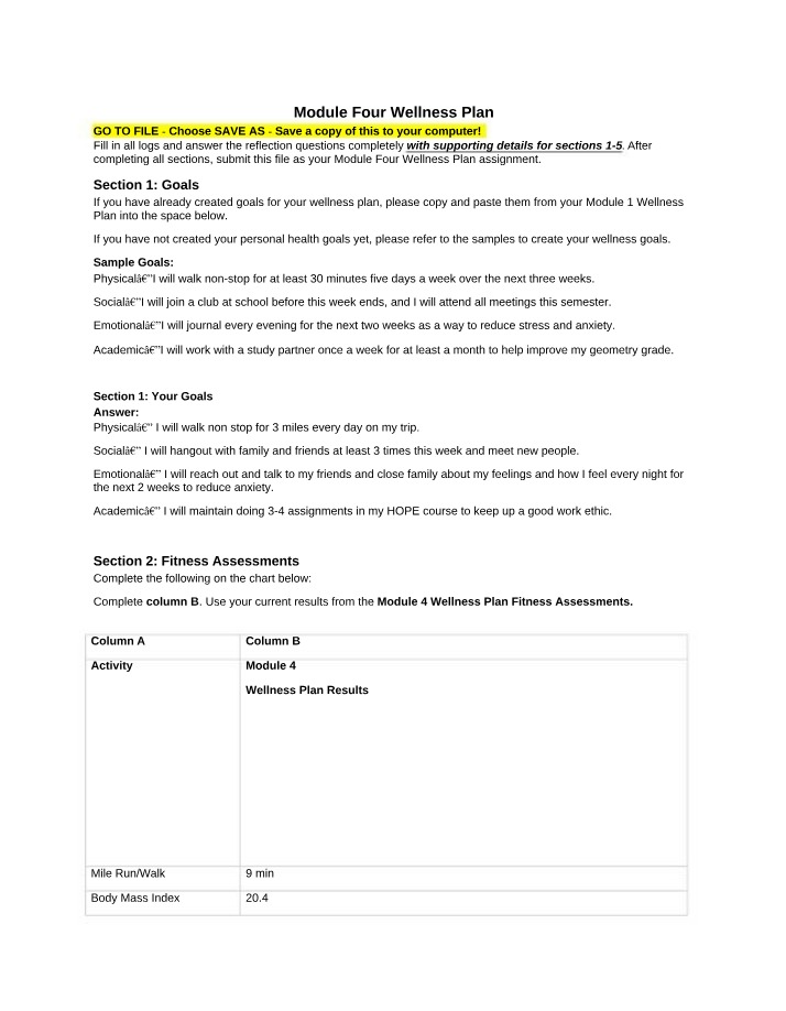 Wellness Plan for Module Four