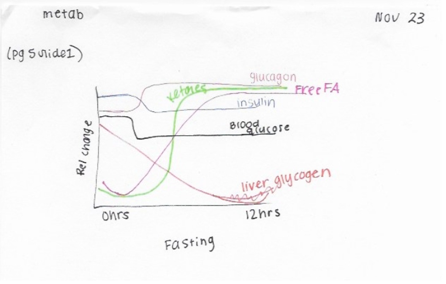 Academic Study Notes