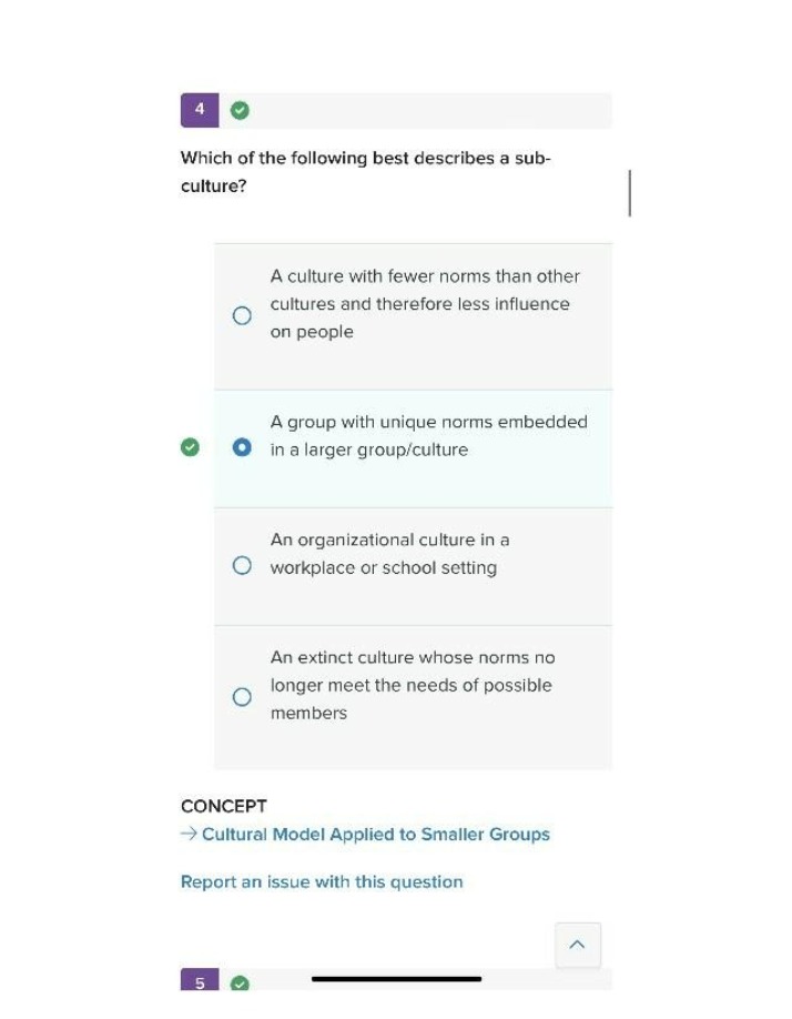 Influence of Subcultures on Norms and Cultural Models